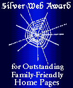 Silver Web Award